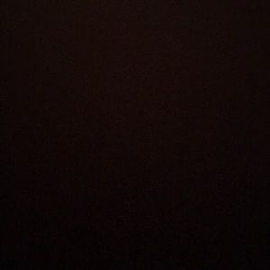 Meet your Posher, Elvis